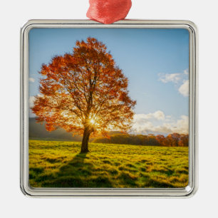 Tree on Fire Metal Tree Decoration