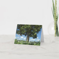 TREE ON GRASSY KNOW; BLUE SKY, FLUFFY WHITE CLOUDS