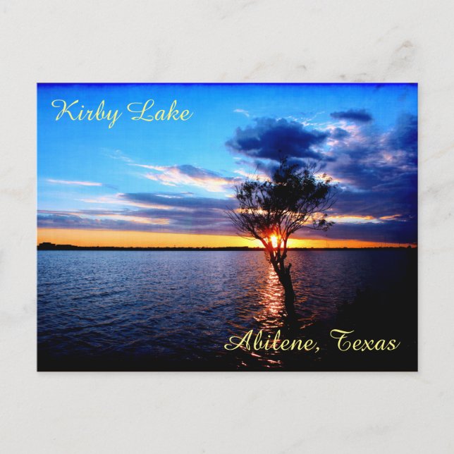 Tree On Kirby Lake Postcard (Front)