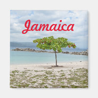 TREE ON SECLUDED BEACH IN JAMAICA MAGNET