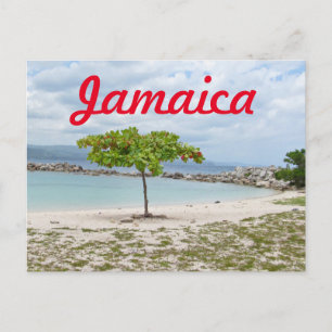 TREE ON SECLUDED BEACH IN JAMAICA POSTCARD