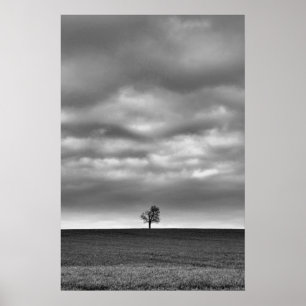 Tree On The Hill Poster