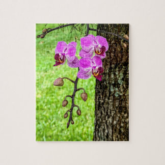 Tree Orchid in Bloom Jigsaw Puzzle