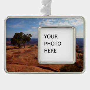 Tree Out of Red Rocks at Canyonlands National Park Silver Plated Framed Ornament