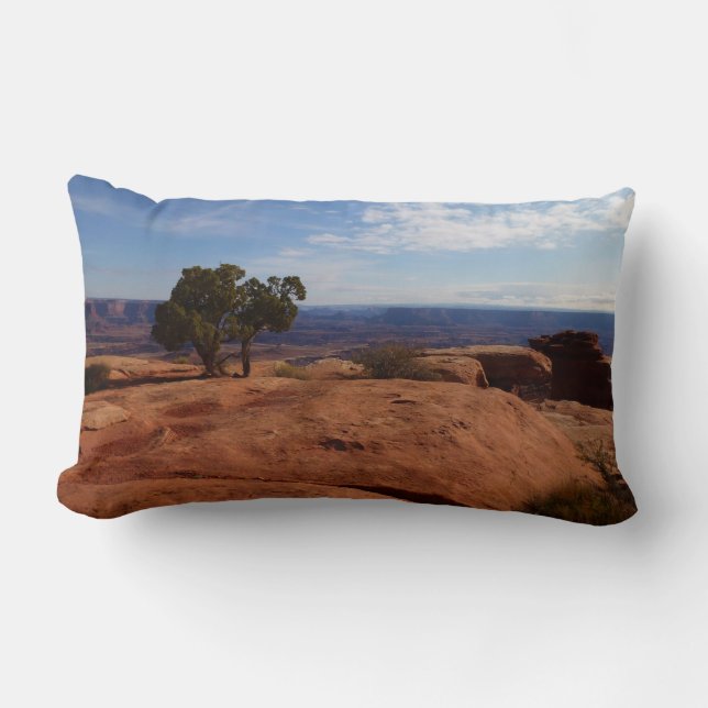 Tree Out of Red Rocks I at Canyonlands Lumbar Cushion (Front)