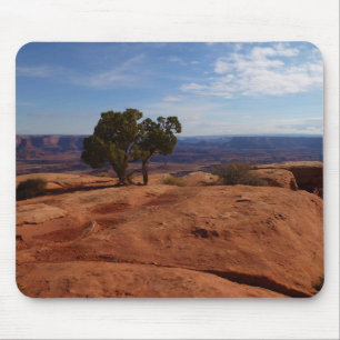 Tree Out of Red Rocks I at Canyonlands Mouse Mat