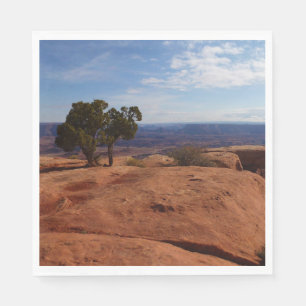 Tree Out of Red Rocks I at Canyonlands Napkin