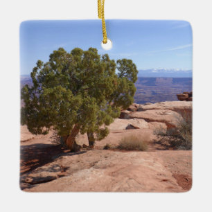 Tree Out of Red Rocks II at Canyonlands Ceramic Ornament
