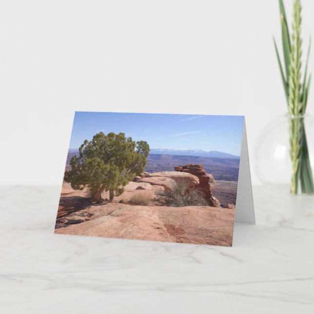 Tree Out of Red Rocks II at Canyonlands Note Card (Front)