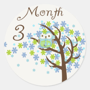 Tree Owl Milestone Month 3 Classic Round Sticker