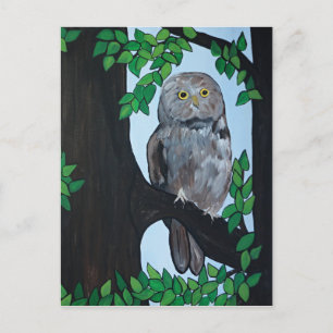 Tree Owl Postcard