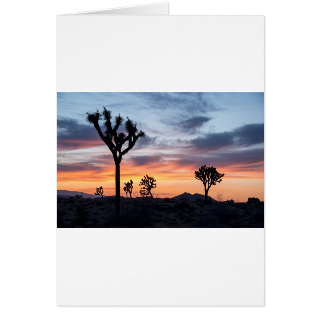 Tree Park  Party Personalise Destiny Destiny'S (Front)