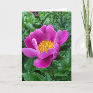 Tree Peony Blank Note Card