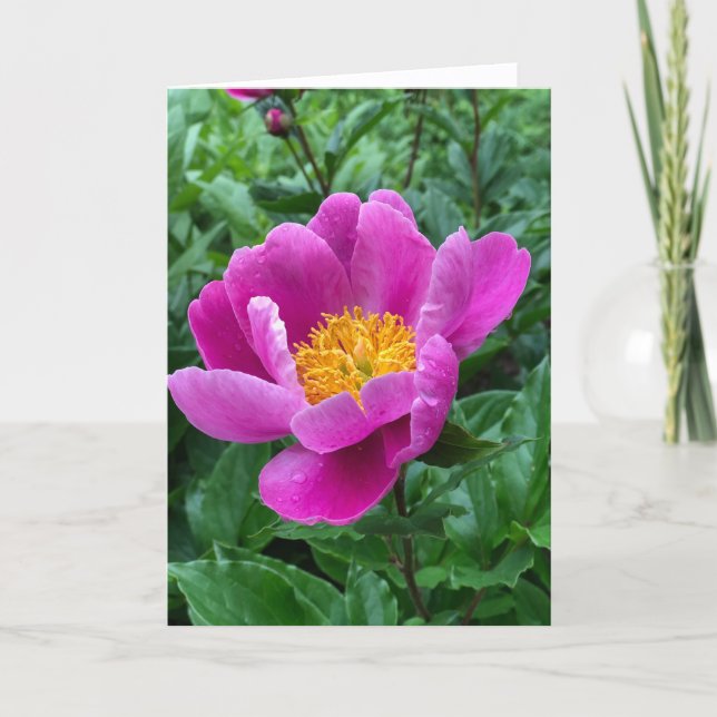 Tree Peony Blank Note Card (Front)