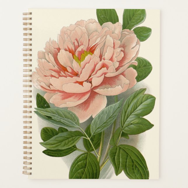 Tree Peony – Elegant Vintage Botanical Design Planner (Front)