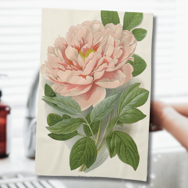 Tree Peony – Elegant Vintage Botanical Design Tea Towel (Creator Uploaded)