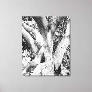 Tree Photo - Black and White Tree Monochrome Thick Canvas Print