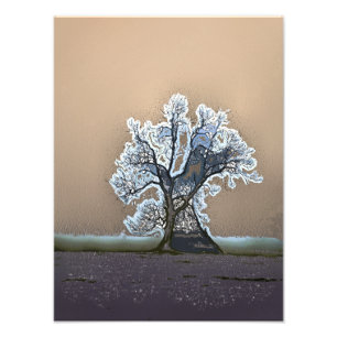 TREE PHOTO PRINT