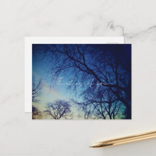 Tree Photography Postcard