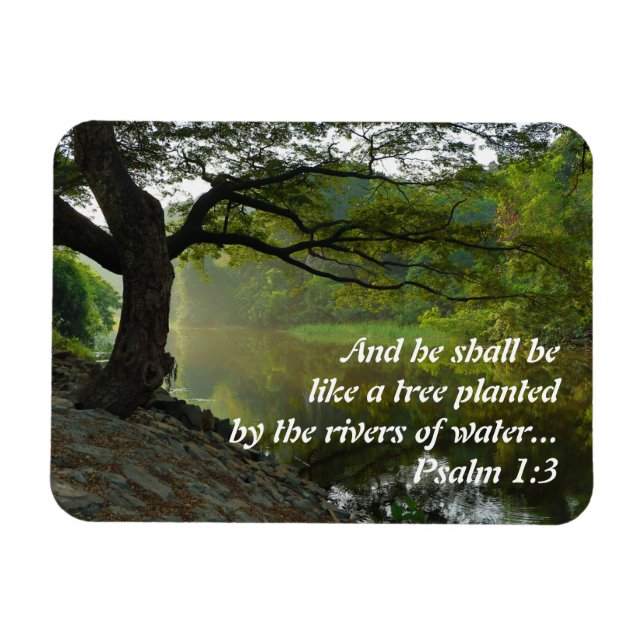 Tree Planted by Water, Psalm 1:3, Scripture Magnet (Horizontal)