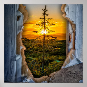Tree Poster