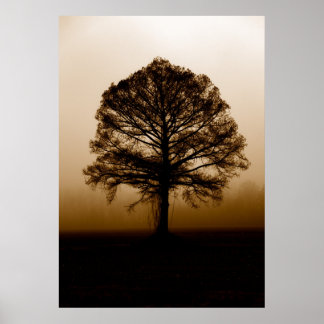 Tree Poster