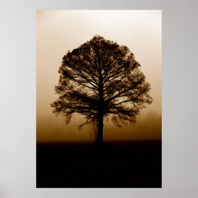 Tree Poster (Front)