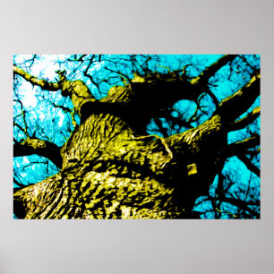 Tree Poster