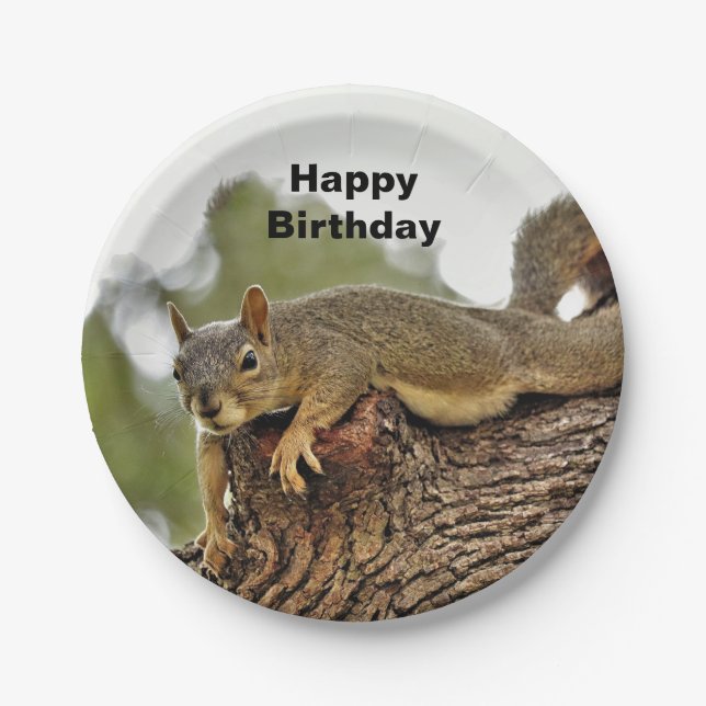 Tree Reclining Squirrel  Birthday Paper Plate (Front)