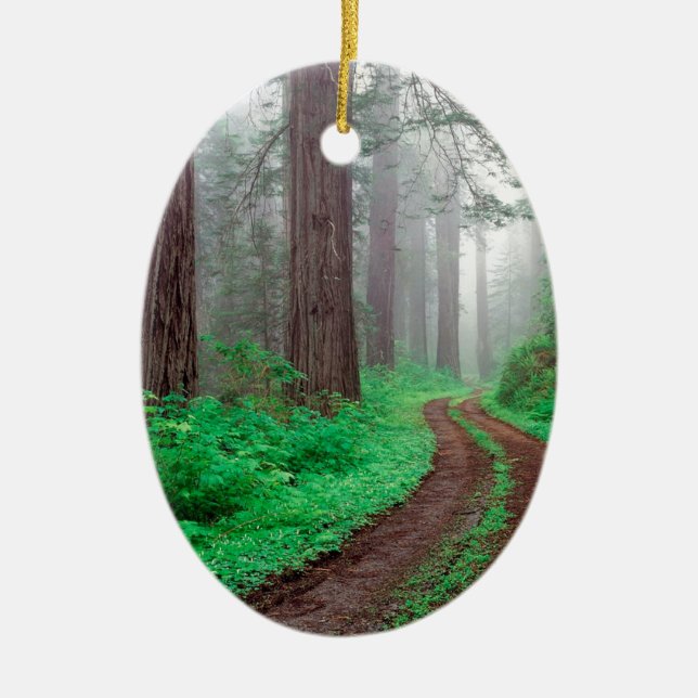 Tree Redwood California Ceramic Tree Decoration (Front)