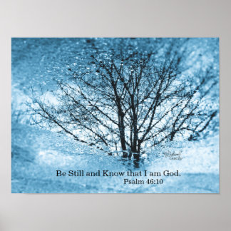 Tree Reflection Poster