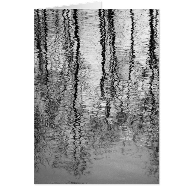 Tree reflections (Front)