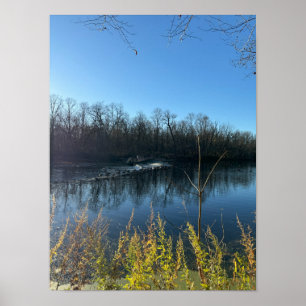 Tree Reflections Photo Poster