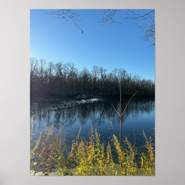 Tree Reflections Photo Poster (Front)