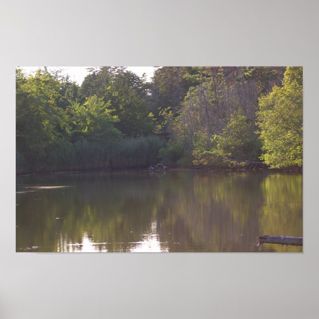 Tree Reflections Waterscape Photo Poster (Front)