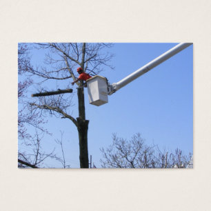 Tree Removal ~ ATC
