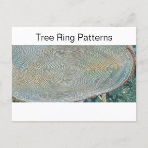 Tree Ring Patterns Postcard