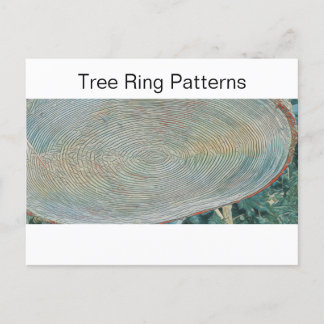 Tree Ring Patterns Postcard