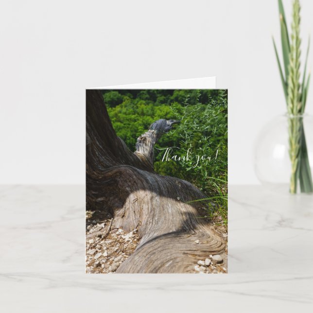 Tree Root Extension Thank You Card (Front)