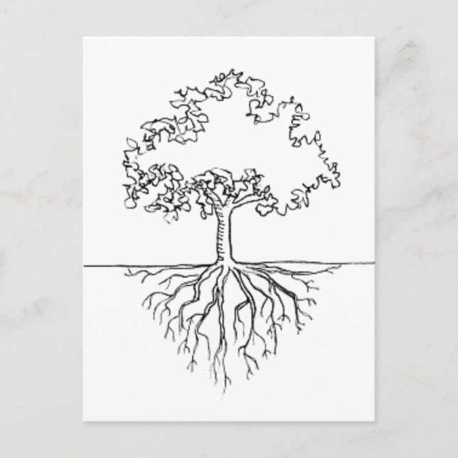 Tree Roots Postcard (Front)