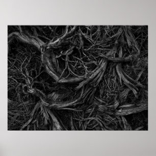 Tree Roots Poster