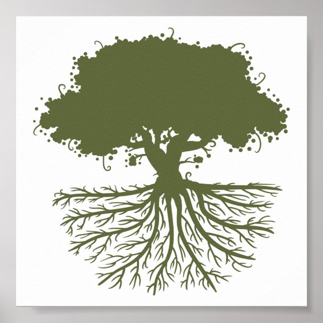 Tree Roots Poster (Front)