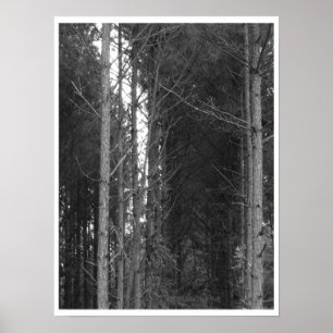 Tree row poster
