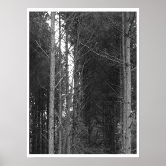 Tree row poster