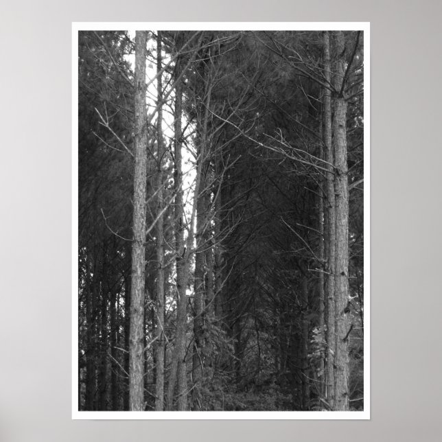 Tree row poster (Front)