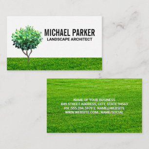 Tree Sapling   Grass Field Background Business Card
