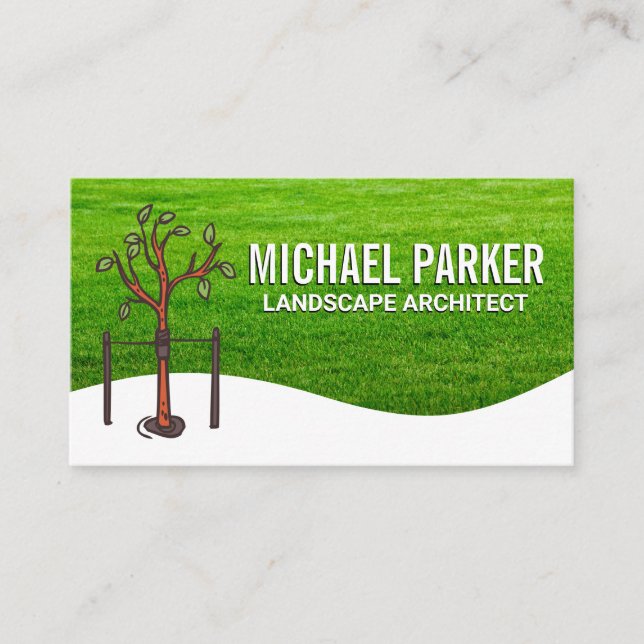 Tree Sapling | Grass Field Business Card (Front)
