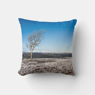 Tree Scout Scar Old Man of Coniston background Cushion