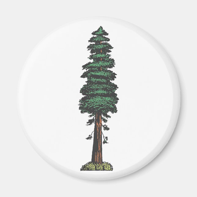 tree sequoia magnet (Front)
