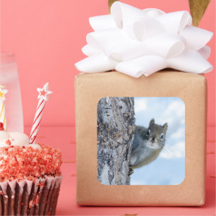 Tree‑Side Squirrel Moment Square Sticker